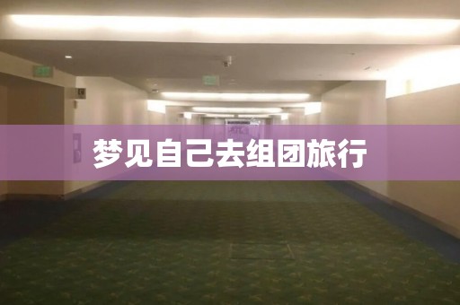 梦见自己去组团旅行